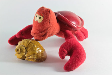 Toy red sea shell crab studies