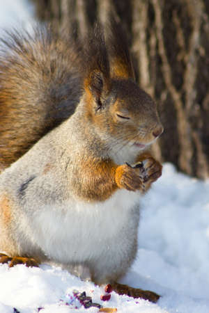 Pregnant protein at breakfast, enjoy a mealの写真素材