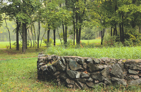 lawn fortified stone in autumn parkの写真素材
