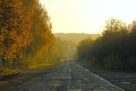 highway in the morning mist of the autumn dawn