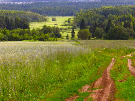 dirt road in a fieldの写真素材