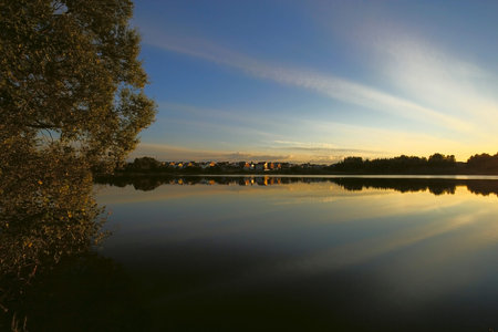 view of the pond in the early morningの写真素材