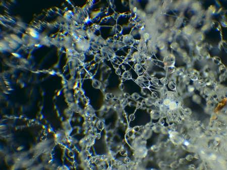 water drops on a cotton threadsの写真素材