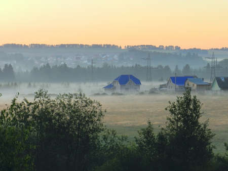 lowland meadow in the mistの写真素材