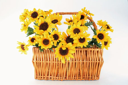 big basket of sunflowersの写真素材