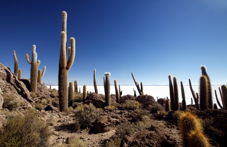 Incahuasi Islandの写真素材