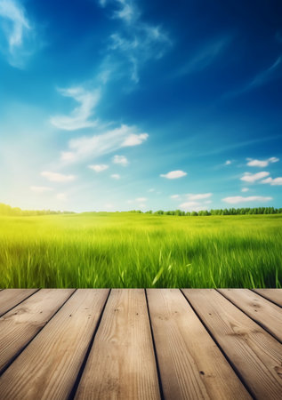 Wooden floor over green field and blue sky. Nature background.の素材