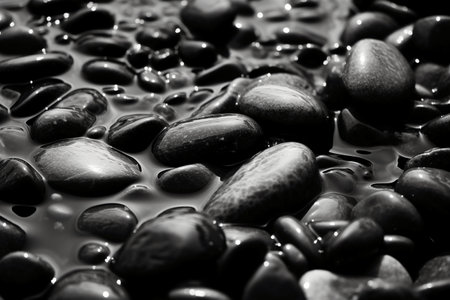 Black and white pebbles in water. Abstract nature background.の素材