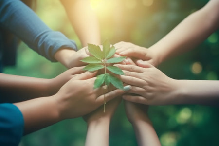 Group of people holding hands together with green leaf on nature background.の素材