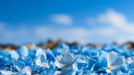 Petals of blue flowers on a background of blue sky with cloudsの素材