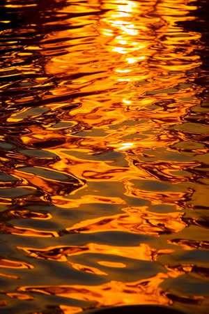 Sunset reflection on the water surface. Abstract background of rippled water.の素材