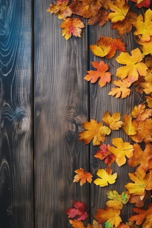 Autumn leaves on wooden background. Top view with copy space.の素材