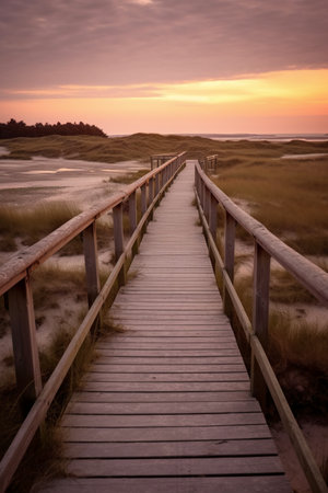 Wooden walkway leading to sand dunes at sunset in springの素材