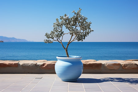 Blue vase with a tree on the terrace near the seaの素材