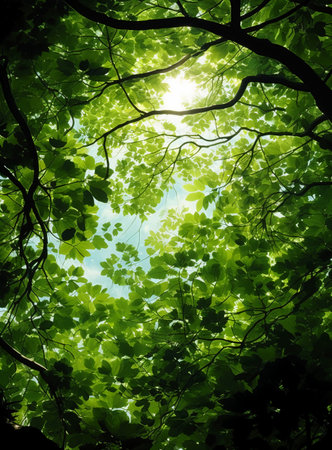 green leaves background in the forest with sunbeams and lens flareの素材