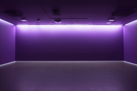 Purple wall and floor in the interior of the modern building.の素材