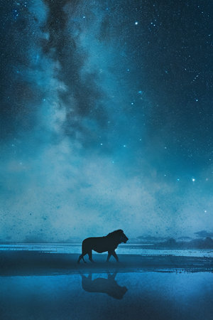 Silhouette of a wild horse on the background of the starry skyの素材