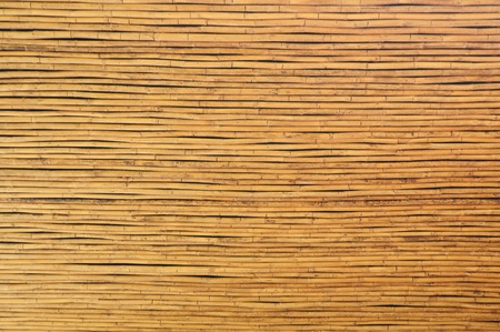 Bamboo backgroundの写真素材