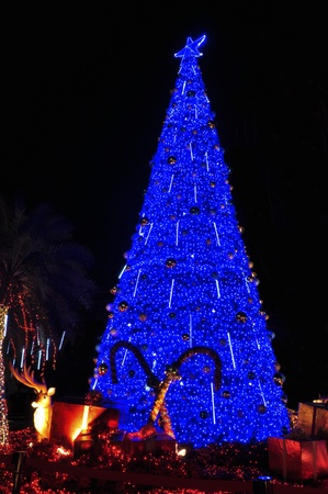 christmas tree with reindeer and giftの写真素材