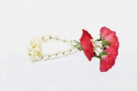 Jasmine Thai Garland isolate, Malai flowerの写真素材