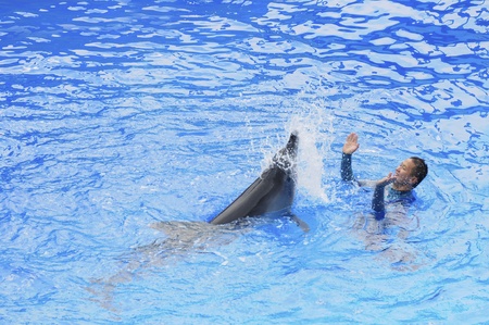 Ocean Park, Hongkong - November 20,2010 - aquarium show, dophin showのeditorial素材