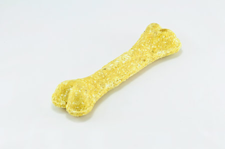Dog Boneの写真素材