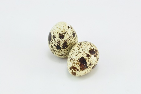 Egg Isolated on White background, Quail Eggの写真素材