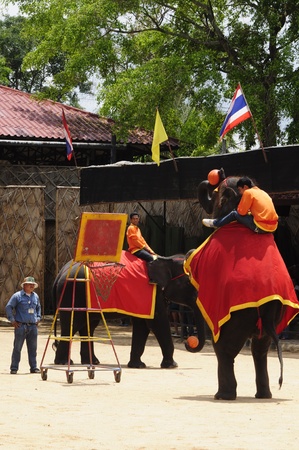 Nong Nooch Garden,  Thailand - May 5,2011 -  Elephant show, an elephant plays basketballのeditorial素材