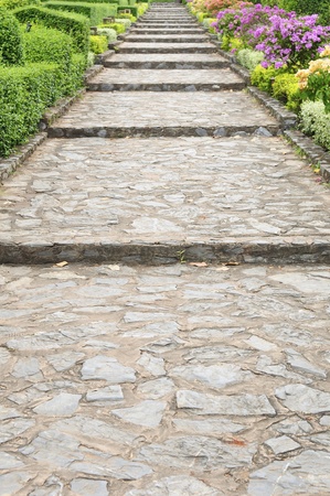 Stone pathway pass through a gardenの写真素材