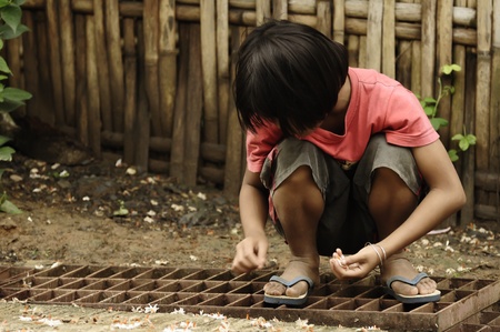 Sangklaburi, Thailand - May 10,2010 -  The little girl collects flowers on the floorのeditorial素材