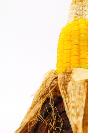 Toast sweet corn with the husks still on, isolated on whiteの写真素材