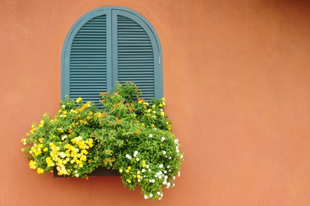 Flowers hanging on the windowの写真素材