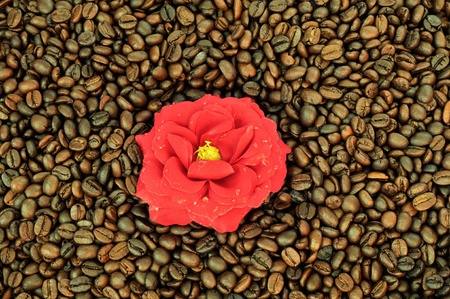 Coffee and flowerの写真素材