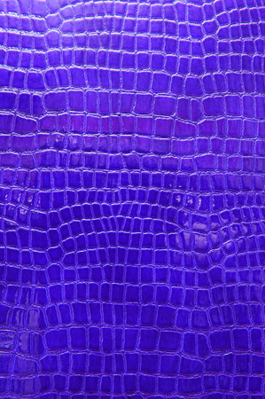 Blue crocodile leather