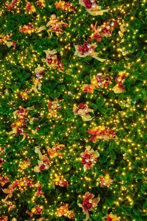 christmas tree backgroundの写真素材