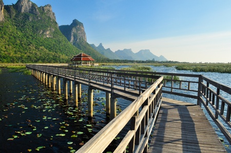 Bridge on the lake in national park, Sam Roi Yod National Park, Prachuap Khiri Khan, Thailandの写真素材