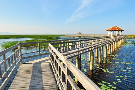 Walkway bridge on the lake in national park, Sam Roi Yod National Park, Prachuap Khiri Khan, Thailandの写真素材