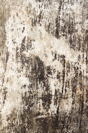 Vintage wood backgroundの写真素材