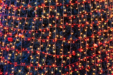 Christmas tree lightの写真素材