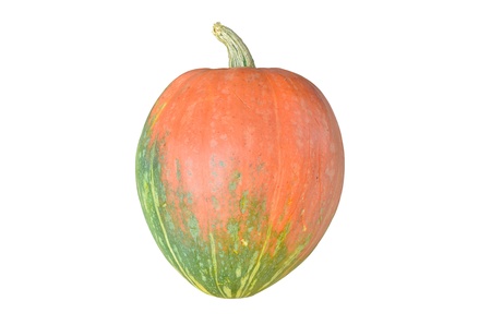 Pumpkin isolated on whiteの写真素材