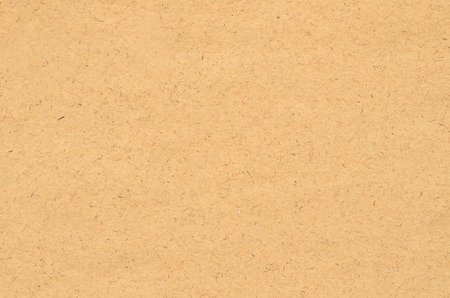 Palm paper texture, one hundred percent paper made from palm treeの写真素材