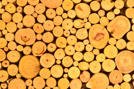 Pile of wood logsの写真素材