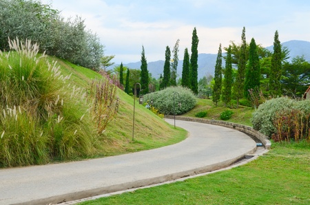 A pathway in the garden のeditorial素材