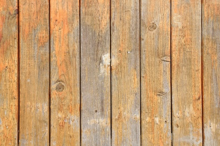 Wood background の写真素材
