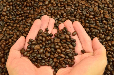 Fresh roasted coffee grain in handの写真素材