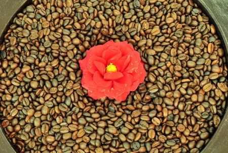 Coffee and flowerの写真素材