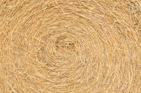 close up straw textureの写真素材