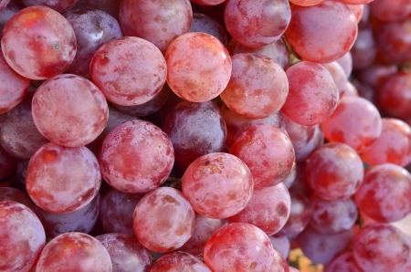 red grapes in a marketの写真素材