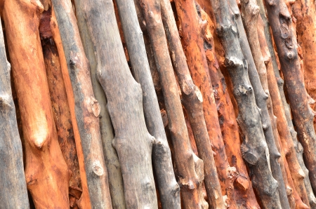 Pile of wood logsの写真素材