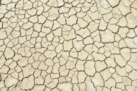 Closeup of dry soil textureの写真素材